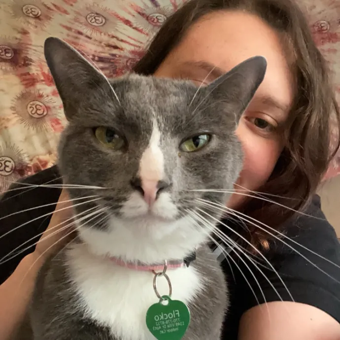 Trustworthy Intown Cat Care