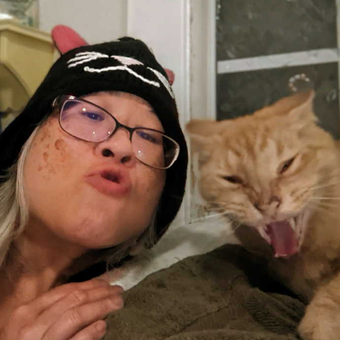 Cat Companion Caregiver Playful Sitter