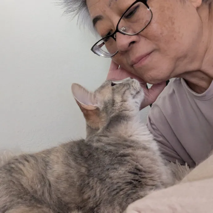 Cat Companion Caregiver Playful Sitter