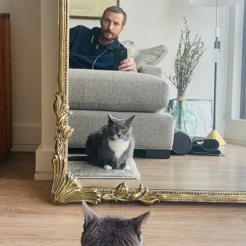 Rob The Expurrt Cat Sitter