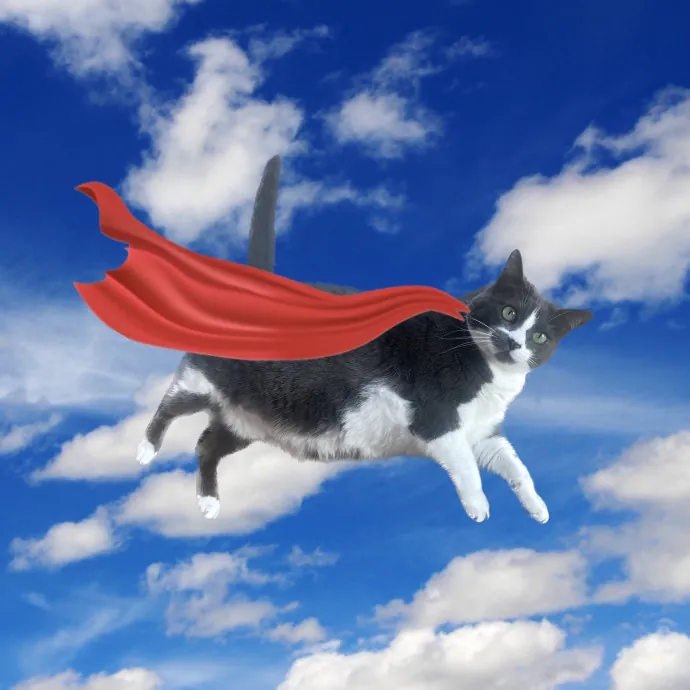 Rob The Expurrt Cat Sitter