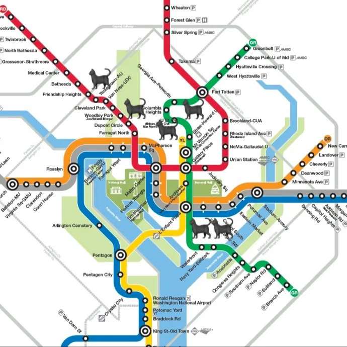 Rob The Expurrt Cat Sitter