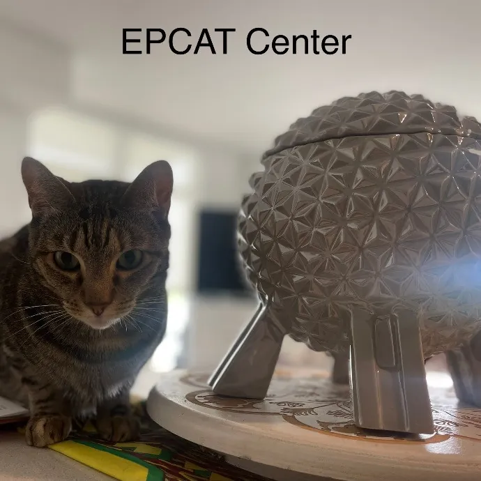 Rob The Expurrt Cat Sitter