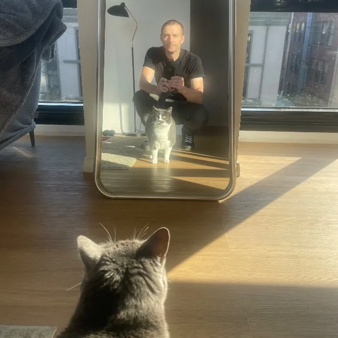 Rob The Expurrt Cat Sitter