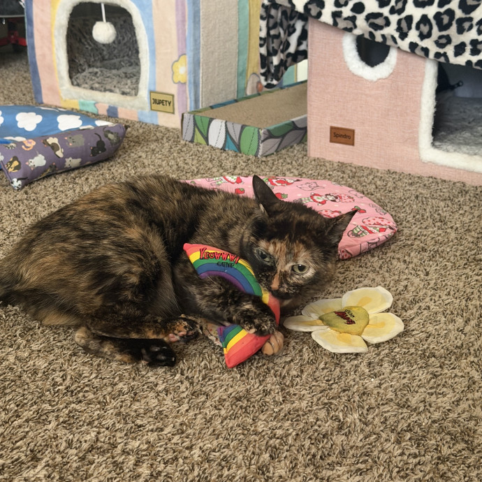 Quirky Cat Loving Redhead