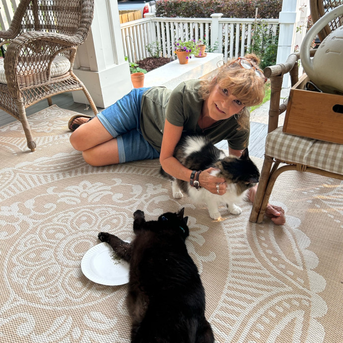 Fabulous Feline Friend Furever photo 3