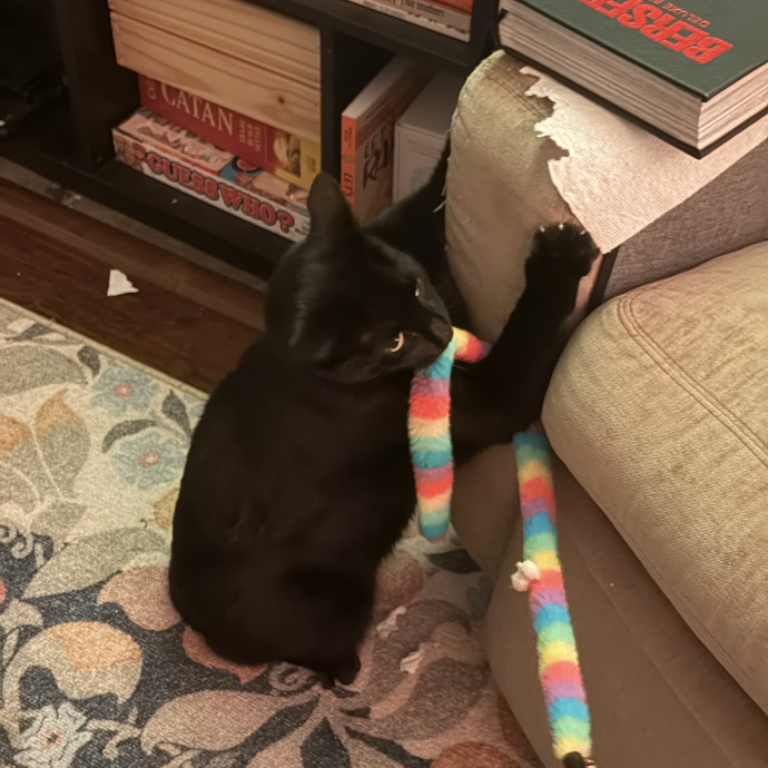 Reliable And Loving Pet Sitter