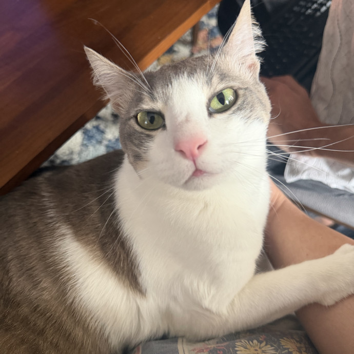 Reliable And Loving Pet Sitter