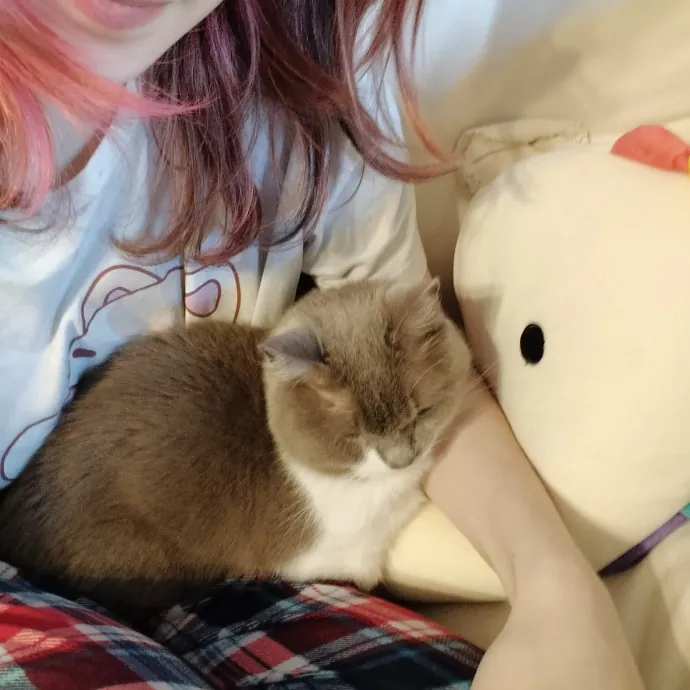 Patient And Caring Cat Lover