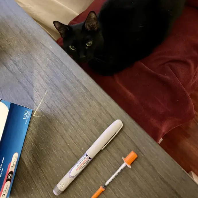 The Cat Sitter Other Sitters Trust