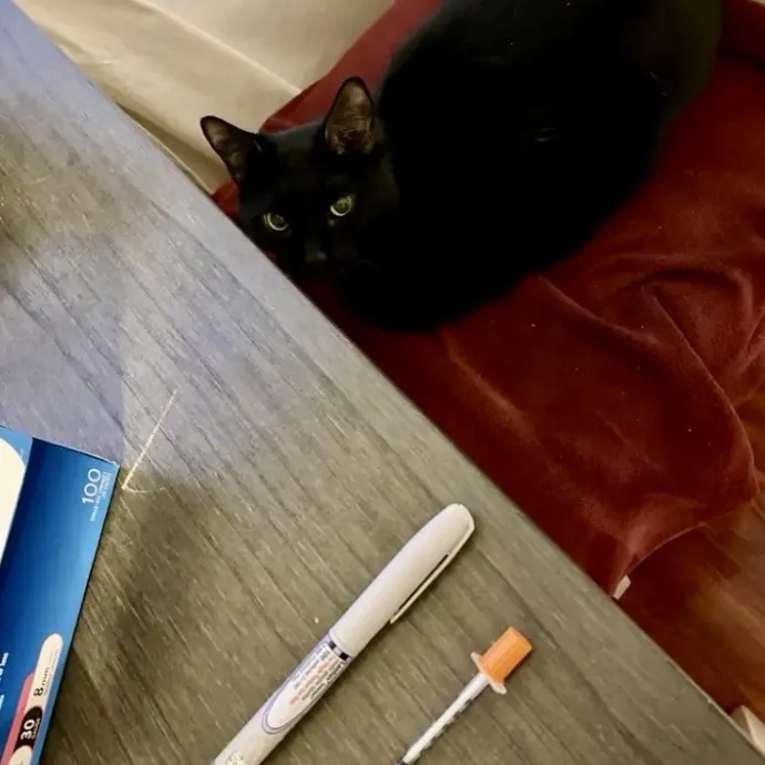 The Cat Professional Other Sitters Trust