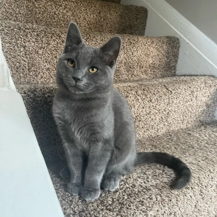 Chloe F.