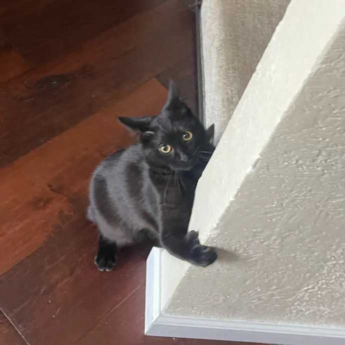 Chloe F.