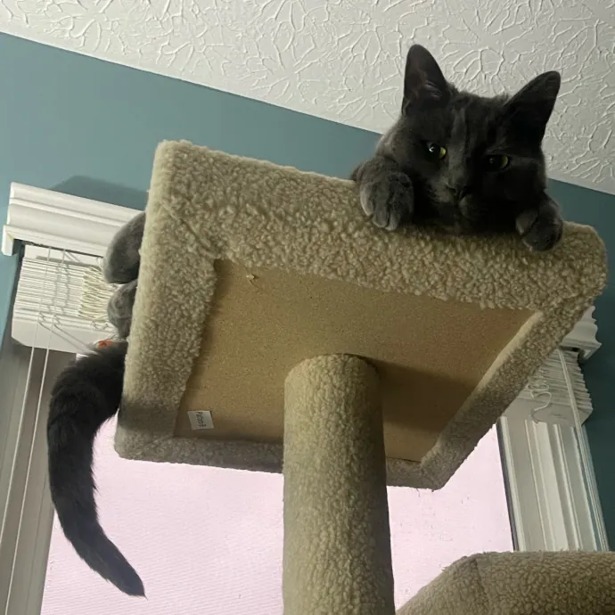 Chloe F.