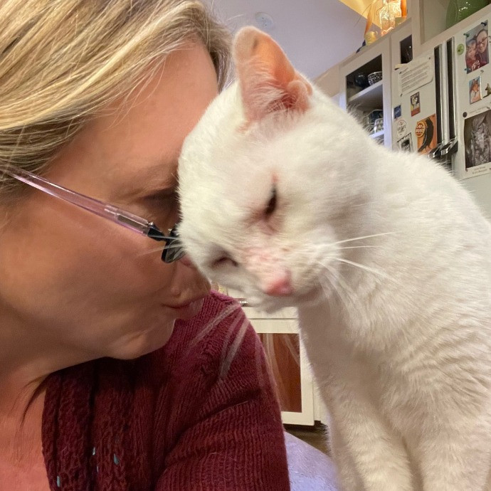 Loving Cat Sitter In Austin Texas