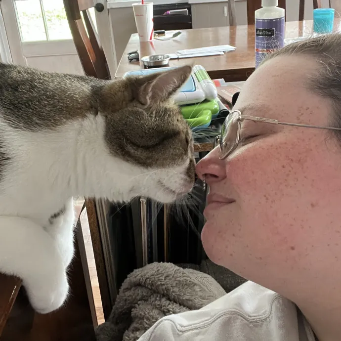 Your Cat's Best Friend