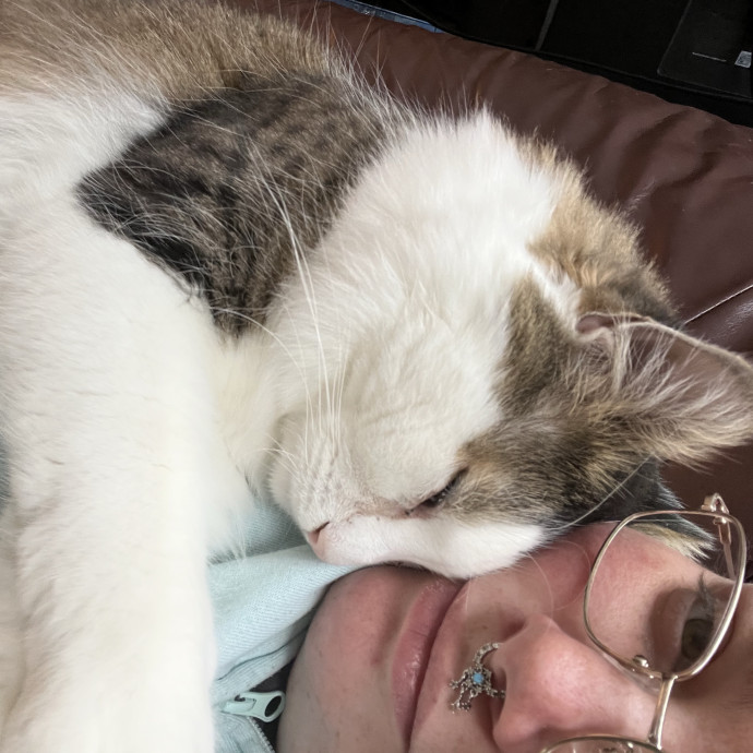 Your Cat's Best Friend