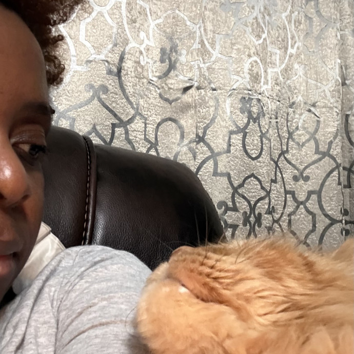 Where Pets Are Family