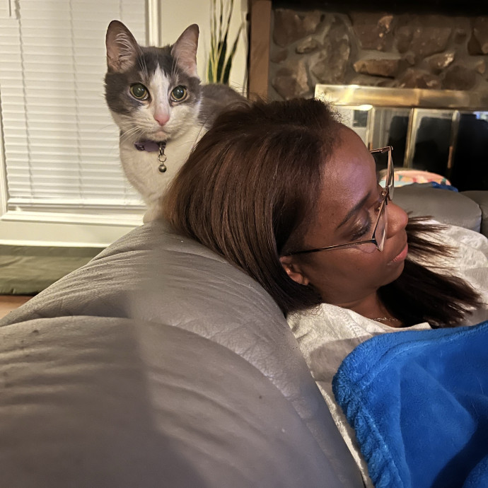 Where Pets Are Family
