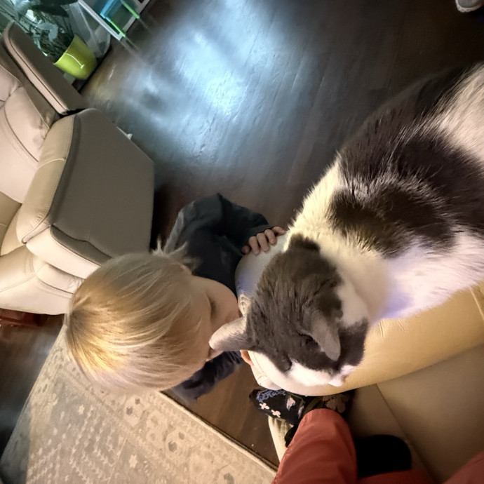 Where Pets Are Family