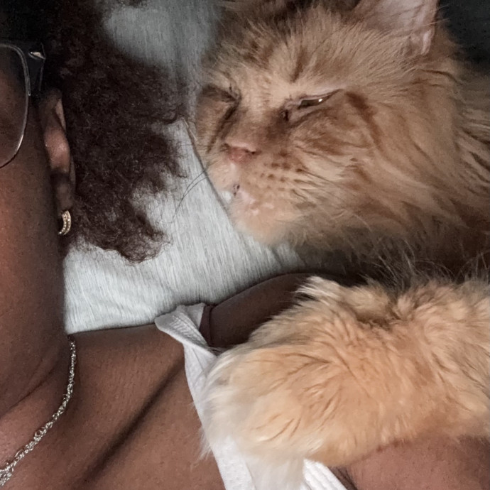 Where Pets Are Family