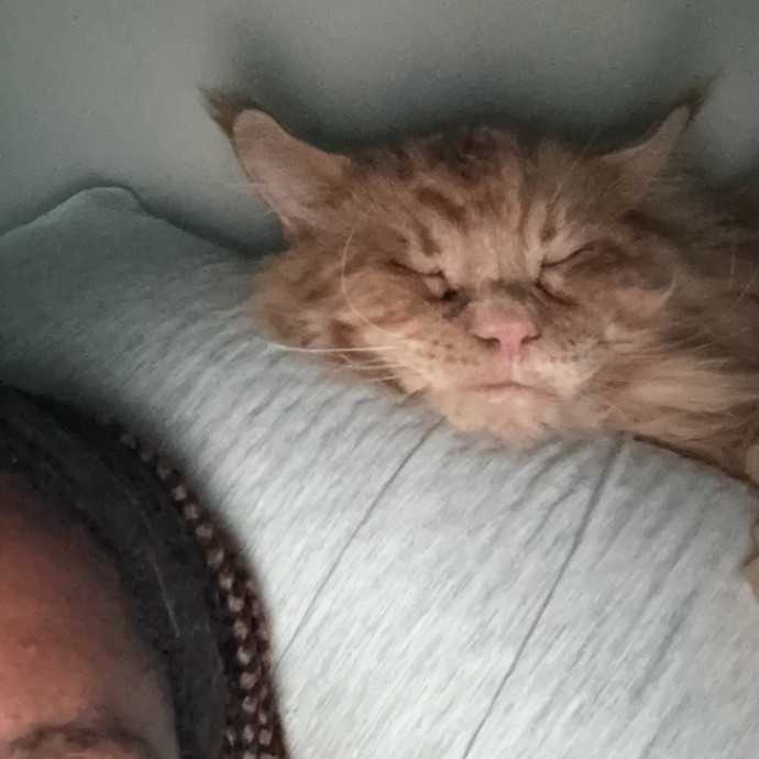 Where Pets Are Family photo 3