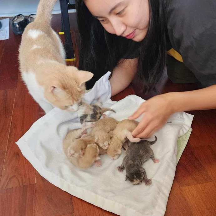 Mama Of 4 Kitties