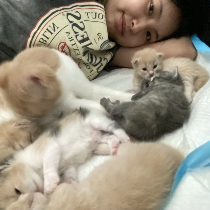 Mama Of 4 Kitties