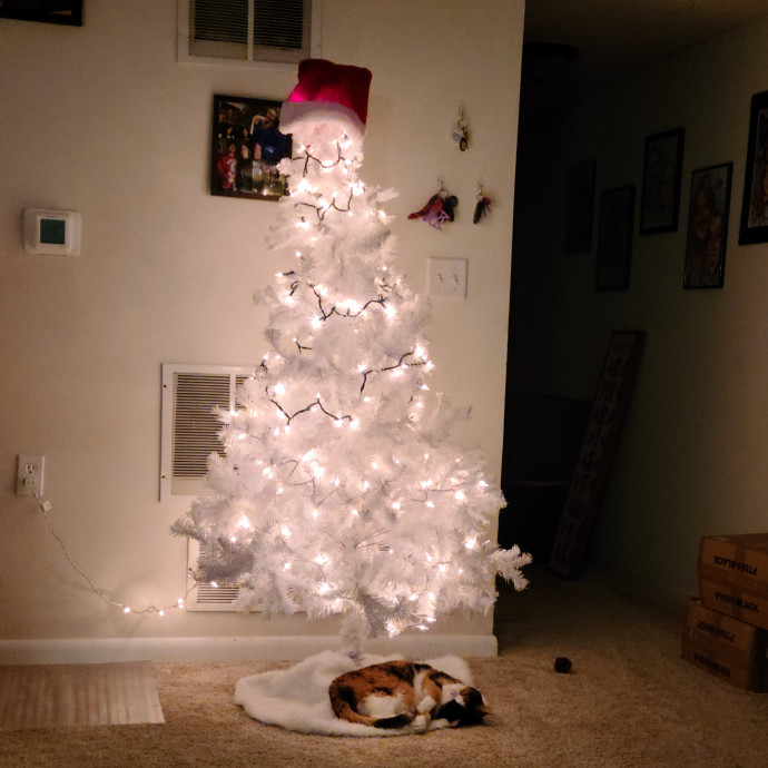 Purrrfections-Cat Sitting