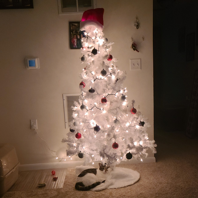 Purrrfections-Cat Sitting photo 3