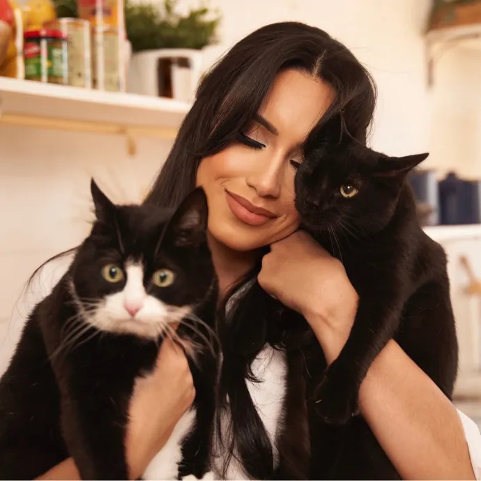 Your Cats New Favorite Human