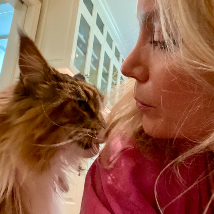 Calm Experienced Cat Care- Med Friendly
