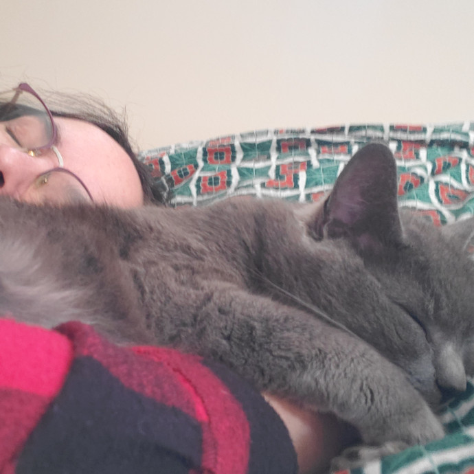 The Purrfect Cat Care