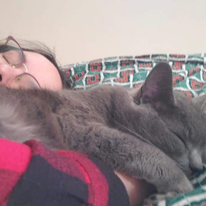 The Purrfect Cat Care