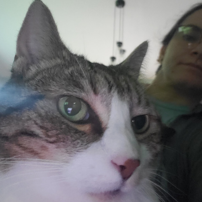 The Purrfect Cat Care