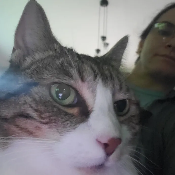 The Purrfect Cat Care photo 4