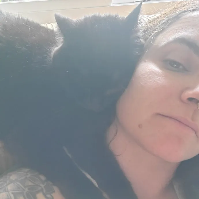 The Purrfect Cat Care photo 3