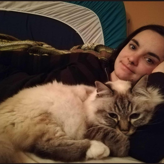 The Purrfect Cat Care