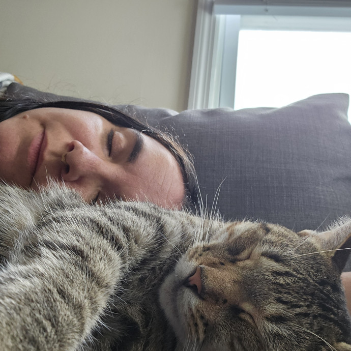 The Purrfect Cat Care photo 2