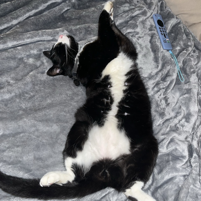 Purrrrrr