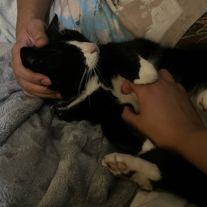 Purrrrrr
