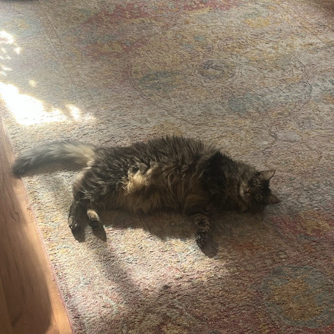 Purrrrrr