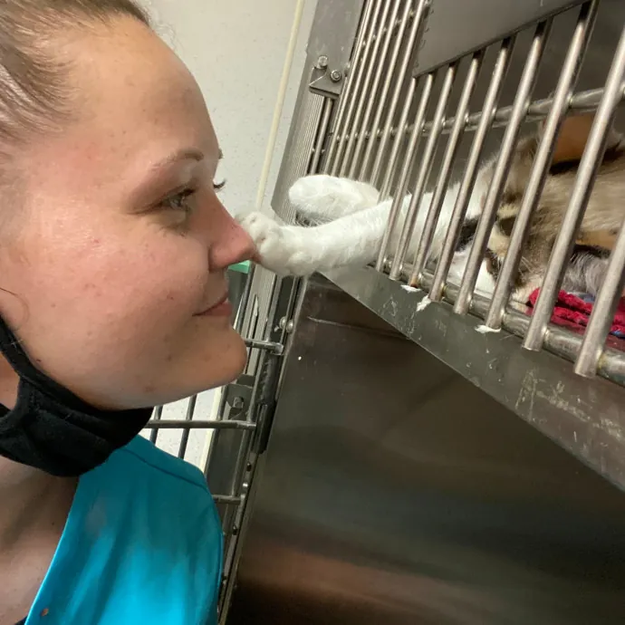 Sara P.