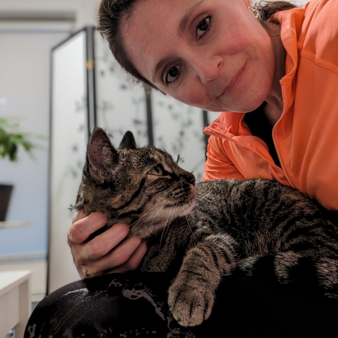 Purrfect Cat Sitter In San Diego