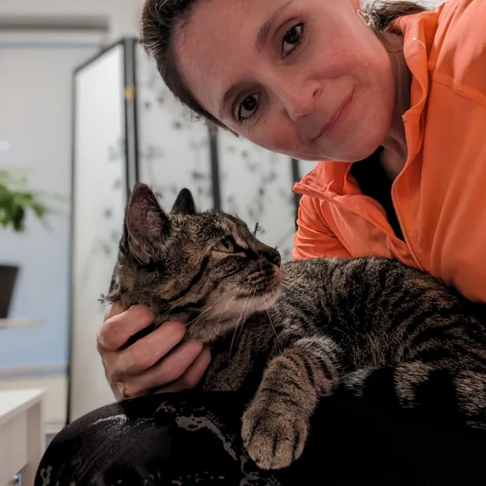 Purrfect Cat Sitter In San Diego