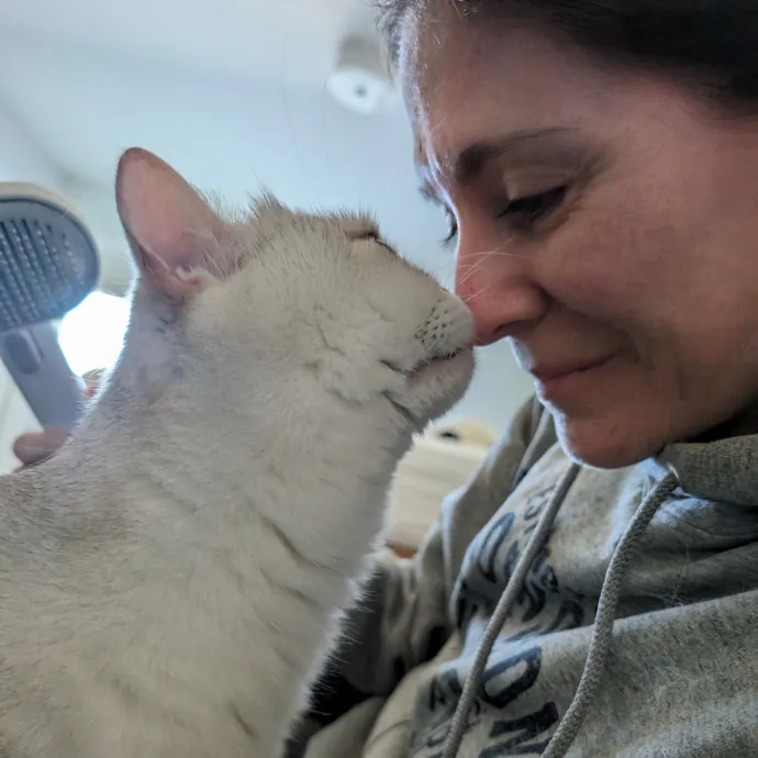 Purrfect Cat Sitter In San Diego