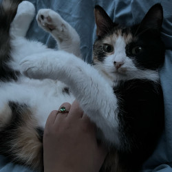 Photo #1 Photo #1