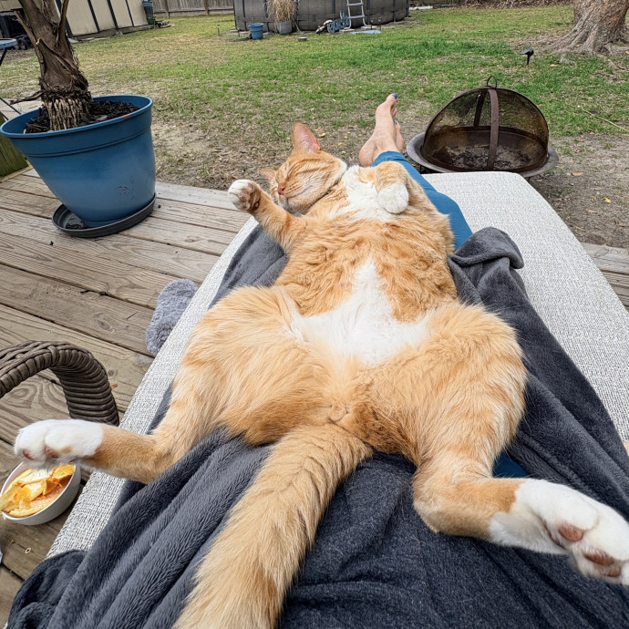 Leah's Cat Concierge