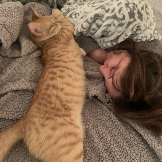 Leah's Cat Concierge photo 2