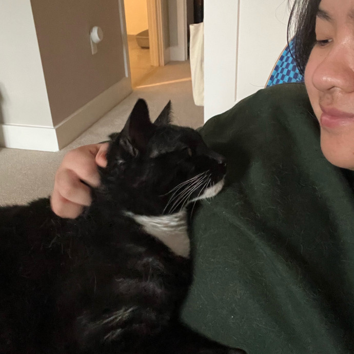 Joanna's Best Furiends Furever Cat Care photo 3